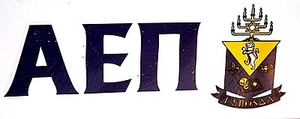 Alpha Epsilon Pi Sticker of Letters & Crest for Outside Glass, Car, dorm, tablet - Picture 1 of 3