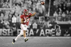 FB695 Tua Tagovailoa Alabama 8x10 11x14 16x20 Spotlight Photo - Picture 1 of 1