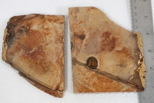 Biggs Scenic Jasper lapidary 1 lb 1 oz two slab rough lot W1 - Picture 1 of 14