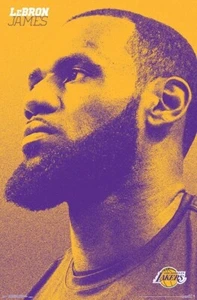 NBA LA Lakers Lebron James 22 x 34 Poster Brand New - Picture 1 of 1