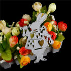 Alice Wonderland White Rabbit Metal CuttingDies Stencil DIY AlbumDeco Craft y-i-