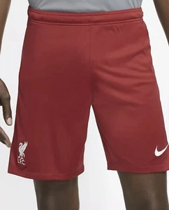 $50 Nike Liverpool FC Soccer Shorts Home Red & White DB2831-687 Men's Size L NWT - Picture 1 of 6
