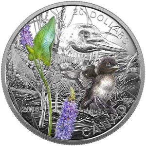 2016 $20 Baby Animals: Common Loon - Pure Silver Coin - Picture 1 of 5