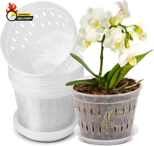 9 Pack 7 Inches Orchid Pots for Repotting, Clear Orchid Pot with Holes and Sauce - Picture 1 of 12