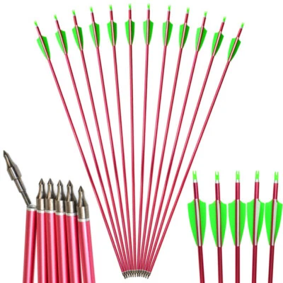 Archery Aluminum Arrow SP500 Screw Point Recurve Bow Target Outdoor Hunting 30" - Image 1 of 4