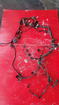 Arnés de cableado del motor principal Kawasaki ZX6R Ninja 636 ZX636 2006 05-06 PARA REPUESTOS Foto 1 de 4