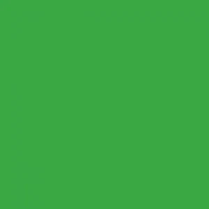 Springs Creative Natural Charm Emerald 100% Cotton Fabric by The Yard - Picture 1 of 1
