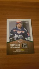 DEL 17-18 2017-2018 PARALLEL BOLD NUMBERS Andree Hult Schwenninger Wild Wings