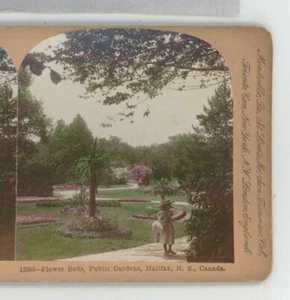 Blumenbeete öffentliche Gärten Halifax Kanada Keystone Stereoview - Bild 1 von 2