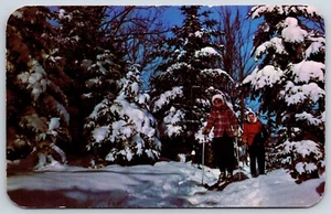 Postcard Winter Fun, Vacationland Scene, Skiers Enjoy Skiing, Posted 1952 - Picture 1 of 2