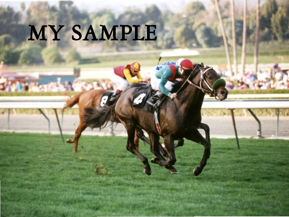 ESTRELLA DE COZZENE 1993 SAN MARCOS GANADOR DE DISCAPACIDAD SANTA ANITA FOTO 8 X 10 #1 Foto 1 de 1