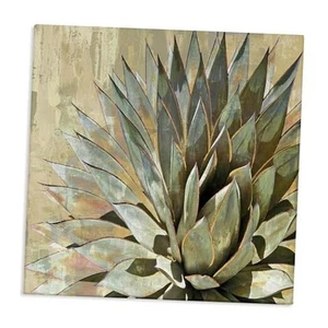 The Stupell Home Décor Collection Succulenta Botanica Dipinta Verde 30L" x 30W" - Foto 1 di 7