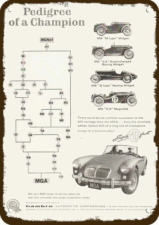 Coches de carreras MG MGA 1959 convertibles enano aspecto de colección réplica decorativa letrero de metal Foto 1 de 1