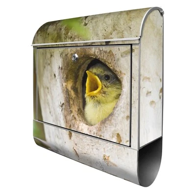Design Briefkasten Mailbox mit eigenem Namen und Zeitungsfach Motiv Blaumeise - Bild 1 von 4