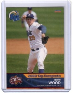 Minor League Team Set You Pick Choose - 2008 Carolina League Top Prospects