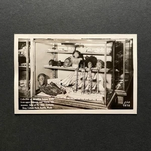 Ye Olde Curiosity Shop • Seattle Washington WA • Mumie Schunkene Köpfe Postkarte - Bild 1 von 3