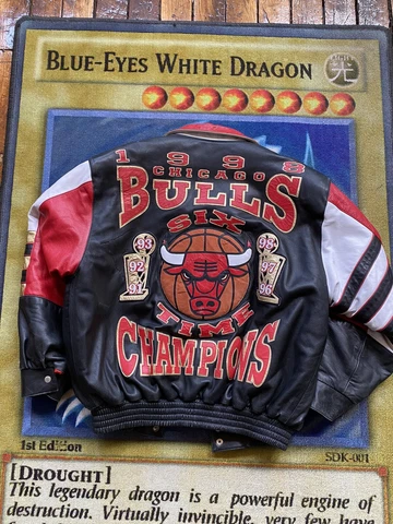 Vintage Jeff Hamilton Leather Jacket Chicago Bulls Michael Jordan Sz L Fits XL Cover