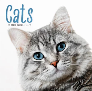 Cats Calendar Wall Calendar Month To View 2026 - Picture 1 of 1