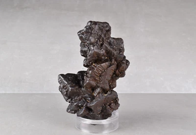 Large Prophecy Stone Pseudomorph Hematite after Marcasite Egypt 9.7 cm # 20577 - Image 1 of 4
