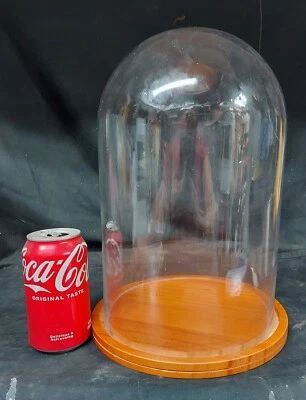 large glass dome display - Image 1 of 4