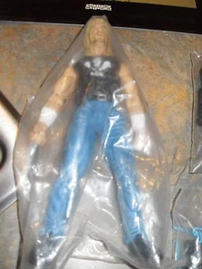 WWE Triple H Figure TOY FAIR EXCLUSIVE 2002 Rare Jakks HHH sealed - Picture 1 of 5
