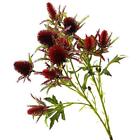 Artificial 10 Heads Eryngium Sea Holly Flowers For Home, Wedding Decorations