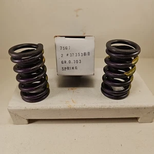 Lot Of 2 NOS OEM 1960-1981 Chevrolet Pontiac Olds Buick GM Valve Springs 3735381 - Foto 1 di 5