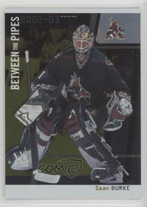 2002 ITG Be A Player Between the Pipes Gold Missing Serial Number /10 Sean Burke