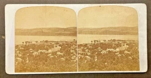 Stereoview Ivory Mount  Watkins NY & Seneca Lake fr Table Mountain By G.F. Gates - Picture 1 of 2