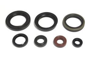 Athena P400510400095 Serie Paraoli Motore - Foto 1 di 1