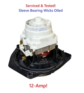 Conjunto de motor de vacío de vapor Hoover genuino 440005480 27212074 27212077 43576197 - Imagen 1 de 3