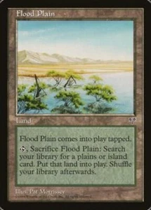 *MRM* ENGLISH Plaine inondée Mirage - Flood Plain MTG Magic MIR - Imagen 1 de 1