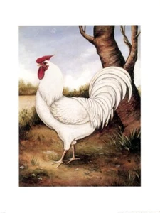 Roosters Henry McGee and Authur Set of 3 12x16 - Picture 1 of 3