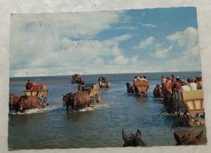 Carri trainati da cavalli in Spagna. Cartolina (K2) - Foto 1 di 2