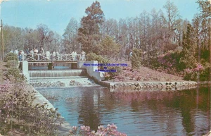 Postal de Greenfield Park Wilmington Carolina del Norte enviada por correo 1953 desde White Lake - Imagen 1 de 2