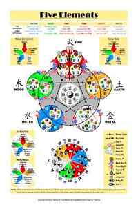 Five Elemente Akupunktur Poster (12""x18"" doppelseitig)