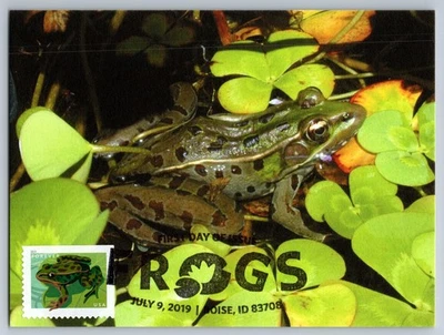 #5396 Northern Leopard Frog FDC Maxi Card w/Pictorial Cancel - Image 1 of 2