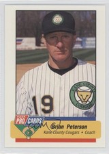 1994 Fleer ProCards Minor League Brian Peterson #180