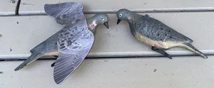 2 Vintage 11" Dove Decoy Bird Hunting Clip On by Wing-It Decoys Hunting Free SH - Picture 1 of 8