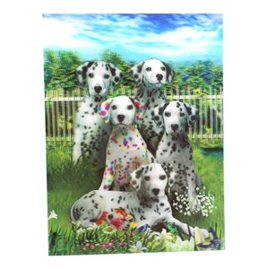 Dalmatiner Hunde 3D linsenförmiges Poster Gruppe von 5 12 x 16 Zoll Druck - Bild 1 von 1