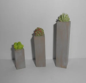 Houseworks Dollhouse Miniature - Tall Square Succelents Set #4047 - Picture 1 of 4