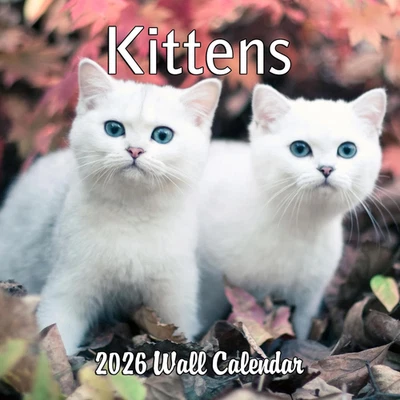 Calendário de parede mensal 2026 gatinhos | Calendário de gatos fofos 2025-2026 - Imagem 1 de 4