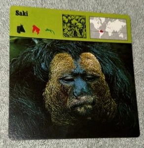 Vintage 1975 Animal Card - Saki- Printed In Japan - Picture 1 of 4