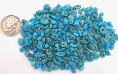 PEPITAS PERFORADAS PEQUEÑAS TURQUESA DE LA BELLEZA DURMIENTE 1/2 OZ 3X2 mm a 7x5 mm #744 Foto 1 de 4