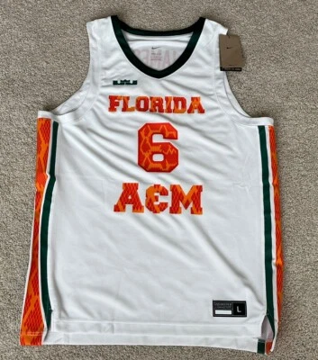 Camiseta deportiva de baloncesto blanca Nike x LeBron James para hombre Florida A&M Rattlers #6 talla L Foto 1 de 4