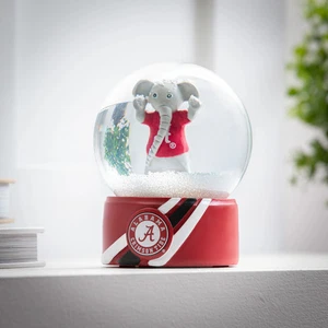 Water Globe, Universidad de Alabama - Imagen 1 de 2