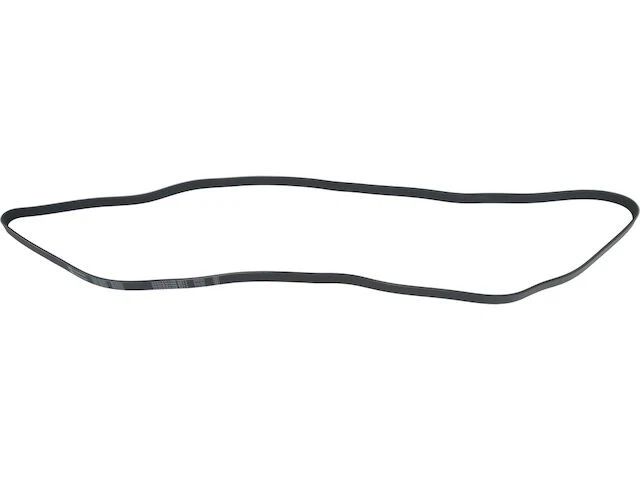 Multi Rib Belt For 2002-2006 GMC Envoy XL 4.2L 6 Cyl 2003 2004 2005 BF643YC - Image 1 of 1