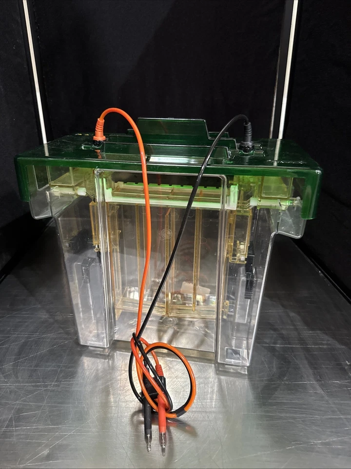 Eletroforese celular Bio Rad Protean II xi - Imagem 1 de 4