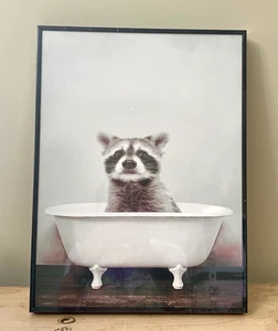 Wall Decor Funny Art Animal Raccoon Poster w/Wooden Frame 40x30cm - Picture 1 of 3
