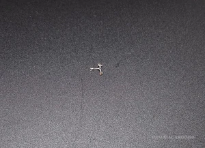 REPLACEMENT PART ORGINAL VENUS CALIBER 175. PART. 710. - Picture 1 of 3